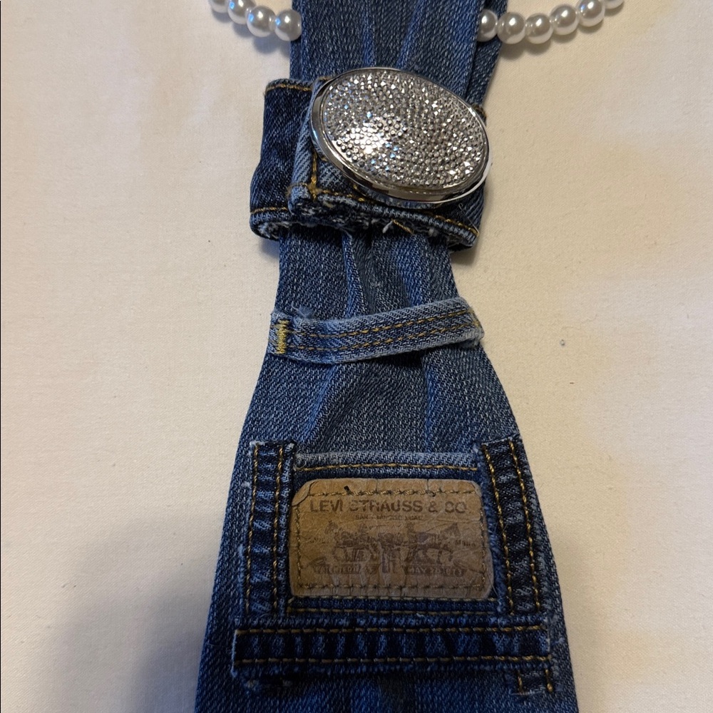 Denim Blue Men's Bag with Ladybug Detail - Picture 2 of 4